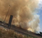 بالفيديو: حريق كبير في الأحراش قرب مطار اللد 